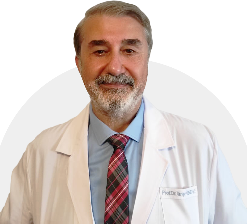 Prof. Dr. Taner Özbenli1