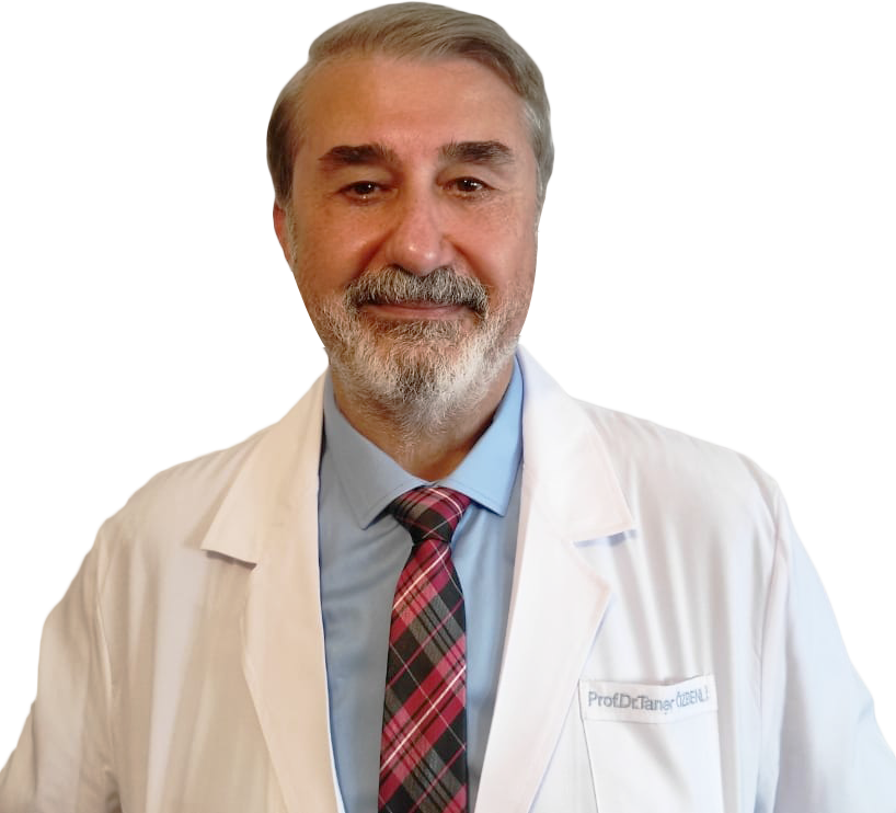 Prof. Dr. Taner Özbenli